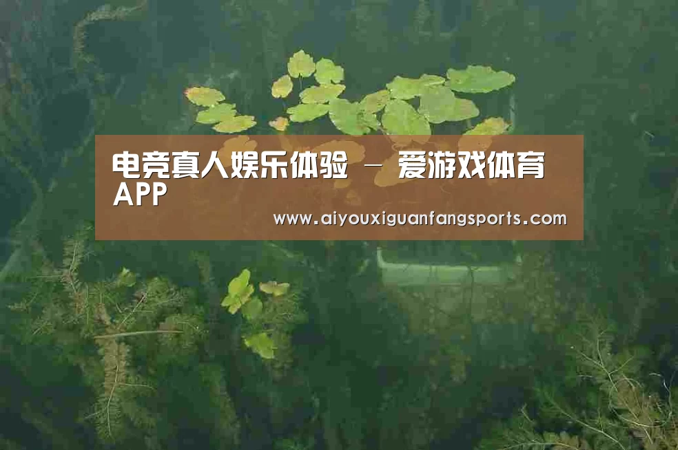 案例展示三