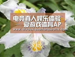 产品名称二