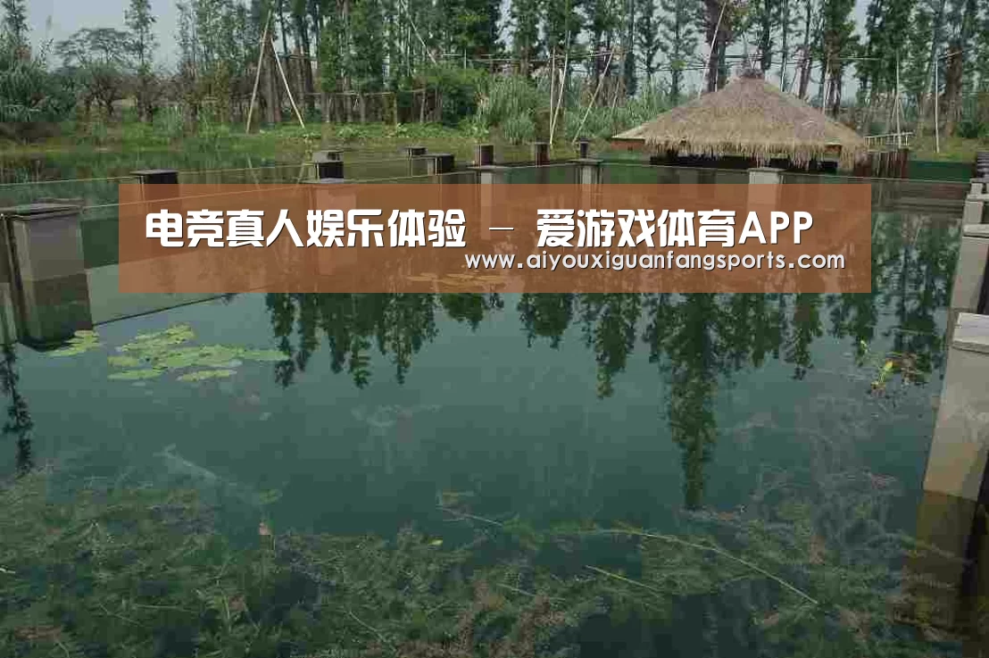 案例展示二