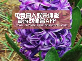 产品名称八