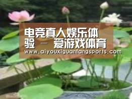 产品名称一