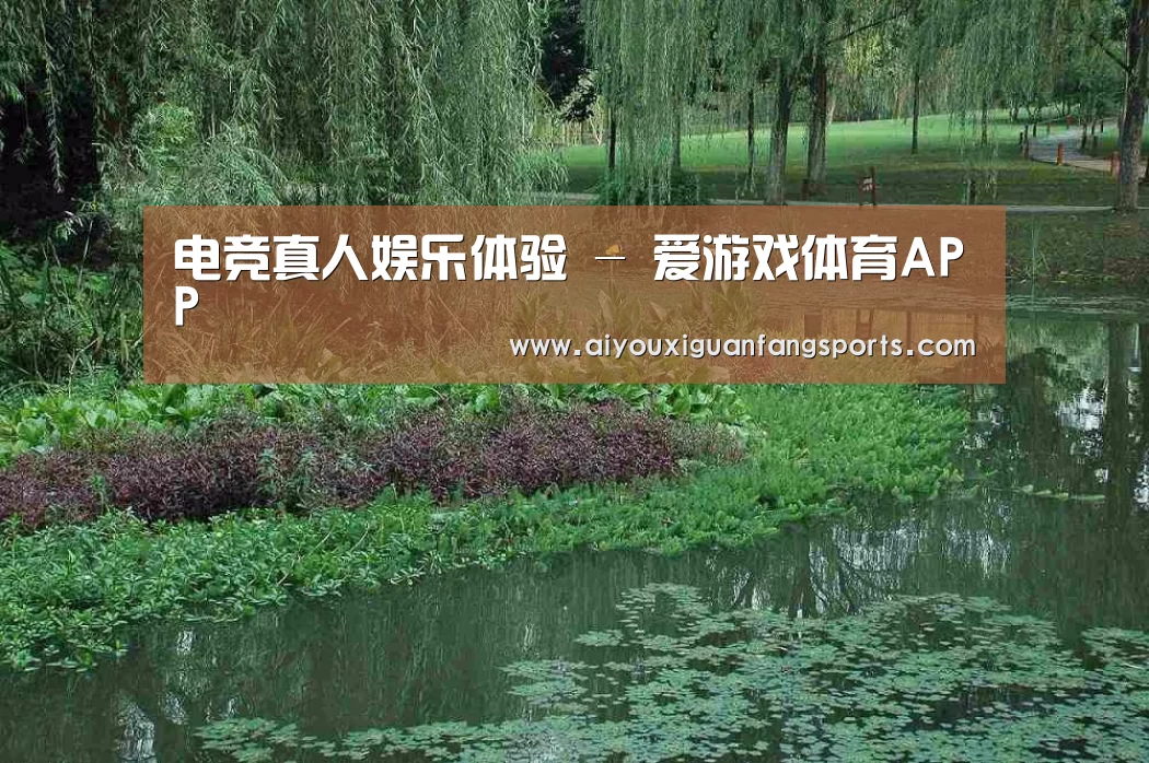 案例展示一