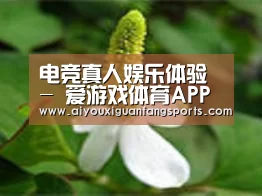 产品名称三