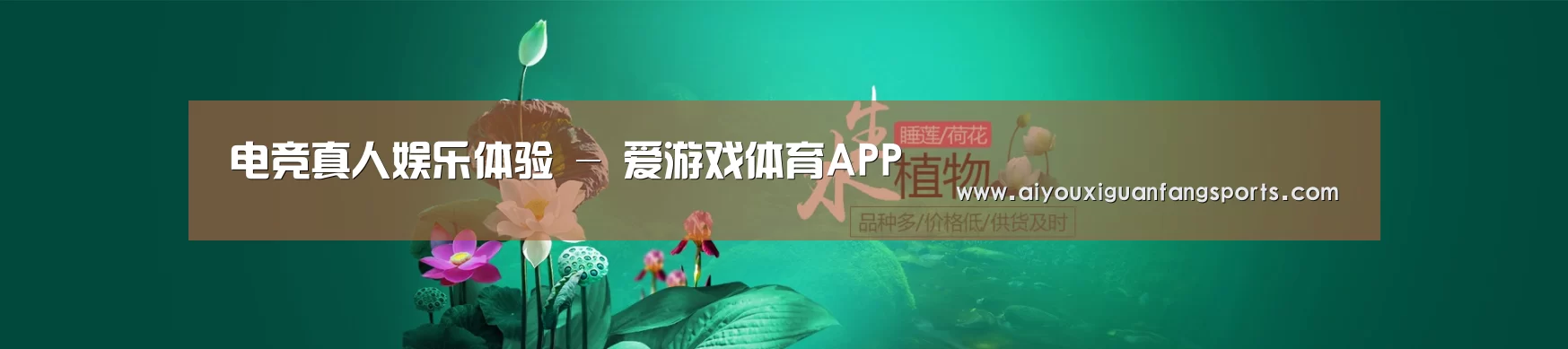 鲜花水草花卉网站模板