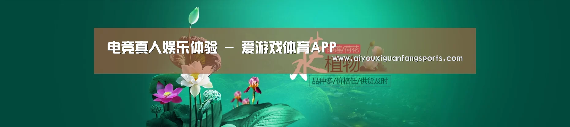 鲜花水草花卉网站模板